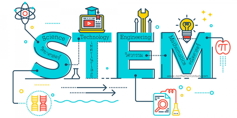 stem-stem